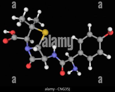 L'amoxicilline molécule pharmaceutique Banque D'Images