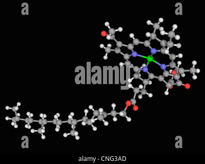 Molécule de chlorophylle b Banque D'Images