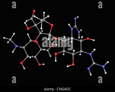 La streptomycine molécule pharmaceutique Banque D'Images