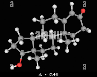Molécule de l'hormone testostérone Banque D'Images