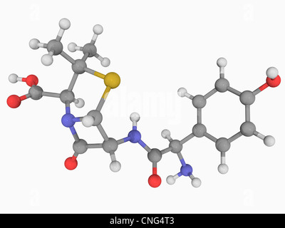 L'amoxicilline molécule pharmaceutique Banque D'Images