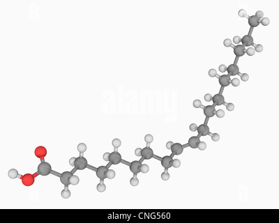 Molécule d'acide élaïdique Banque D'Images