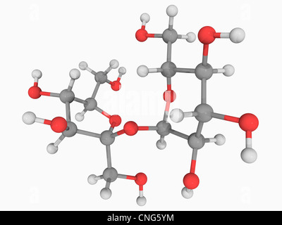 Molécule de saccharose Banque D'Images