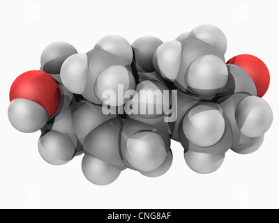 Molécule de l'hormone Prasterone Banque D'Images