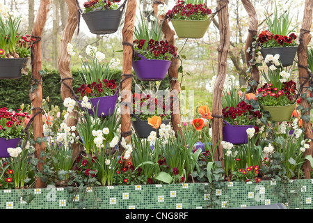 Holland, lisse, Keukenhof, pots suspendus avec pensées. Banque D'Images