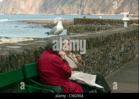 Goéland argenté regardant deux poissons et de manger les touristes à puce femelle Lynmouth dans le Nord du Devon. Banque D'Images