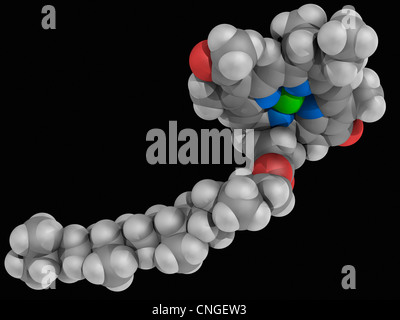 Molécule de chlorophylle b Banque D'Images