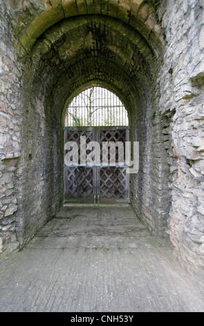 Le Château de Chepstow - entrée de la barbacane - Chepstow est un château normand situé au-dessus des rives de la rivière Wye dans le sud-est du pays de Galles. La construction a commencé en 1067, moins d'un an après Guillaume le Conquérant est couronné roi d'Angleterre. Construit par Norman lord William FitzOsbern. Banque D'Images