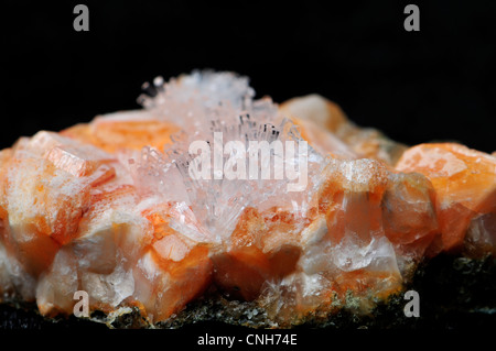 Effacer la natrolite cristaux sur Gmelinite Orange (à partir de la petite carrière de Deer Park, Gourgois, N. Ireland) Banque D'Images