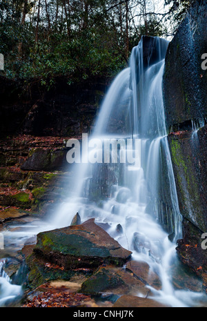 La mauvaise branche tombe sont situés sur de mauvaises graines dans la direction générale près de Lake Rabun County, GA. Le 15-20 ft. Les chutes sont très pittoresques lorsque s'écoule bien, mais ils sont aussi confrontés à près de au nord de sorte qu'ils sont dans l'ombre pour la grande majorit de la journée. S'attendre à de longues durées d'exposition si la photographie. Banque D'Images