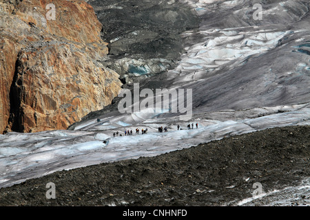 Grand groupe de randonneurs dans la distance, Glacier d'Aletsch, Valais, Suisse Banque D'Images