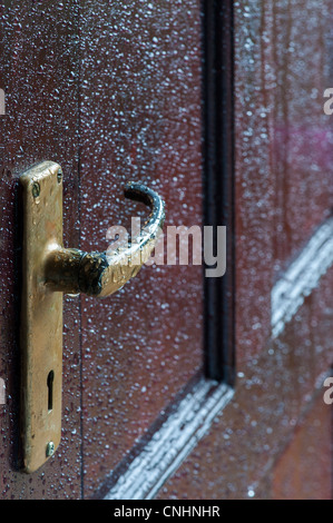 Gouttes de pluie sur la porte en bois verni. Protéger le bois de l'eau. UK Banque D'Images