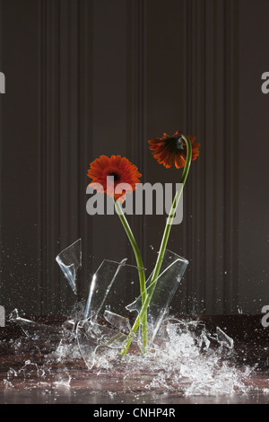 Un vase shattering Banque D'Images