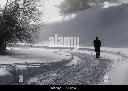 Homme seul marche le long chemin en charge de neige Banque D'Images