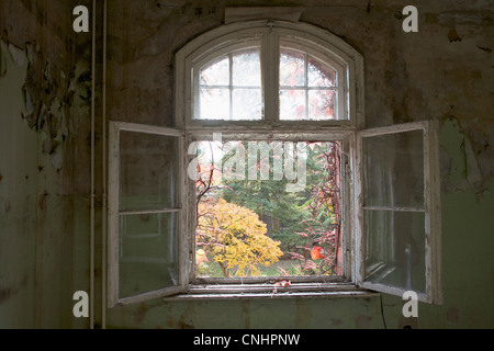 Une fenêtre ouverte dans un bâtiment abandonné, Beelitz-Heilstaetten, Allemagne Banque D'Images