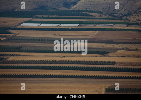 Photographie aérienne du champs de l'agriculture de la vallée de Yavne'el dans la basse Galilée Banque D'Images