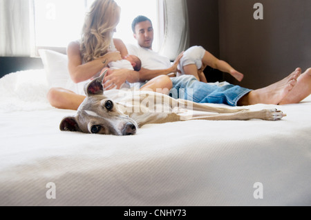 Chien de compagnie et de famille avec couple avec bébé on bed Banque D'Images