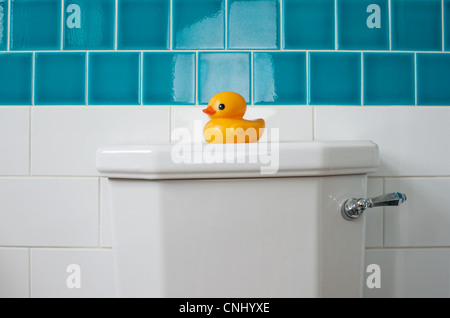 Canard en caoutchouc sur les toilettes Banque D'Images