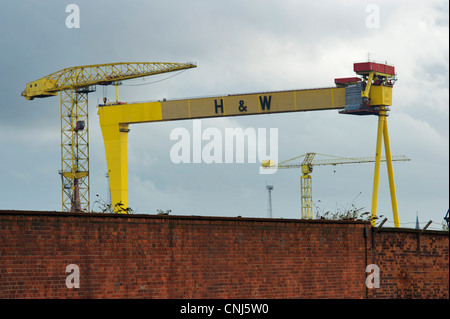 Les grues Harland & Wolf, connu sous le nom de Samson et Goliath Banque D'Images