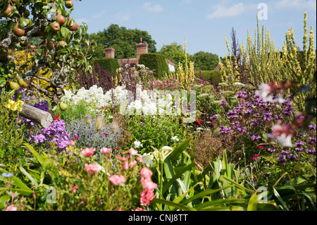 Poiriers dans les jardins créés par le jardinier Christopher Lloyd à Great Dixter dans la région de rye, East Sussex, Angleterre, Royaume-Uni. Banque D'Images