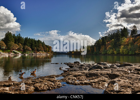 USA (Oregon), Lake Oswego, George Rogers Park, la rivière Willamette. HDR, Digital Composite Banque D'Images