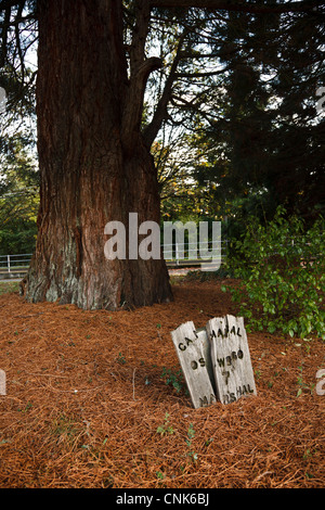 USA (Oregon), Lake Oswego, Oswego Pioneer Cemetery Banque D'Images