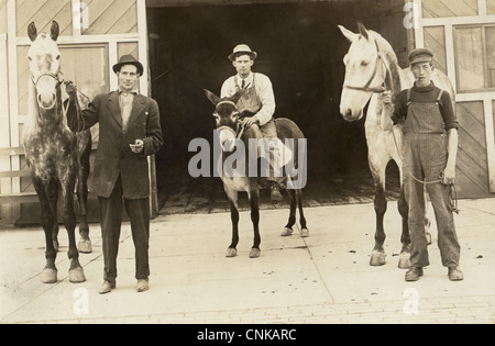 Trois hommes à la stabilité avec les chevaux et Âne Banque D'Images