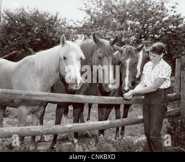 Quatre Chevaux Alimentation Cowgirl Banque D'Images