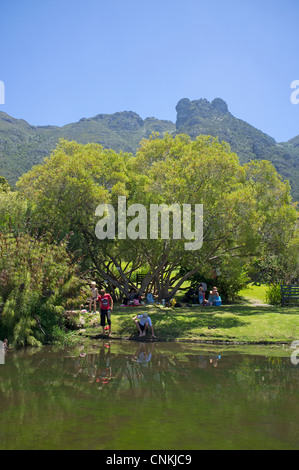 Jardin botanique de Kirstenbosch Cape Town Afrique du Sud Banque D'Images