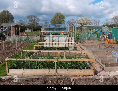 Allotissement urbain jardin, Norwich, Norfolk, Angleterre Banque D'Images