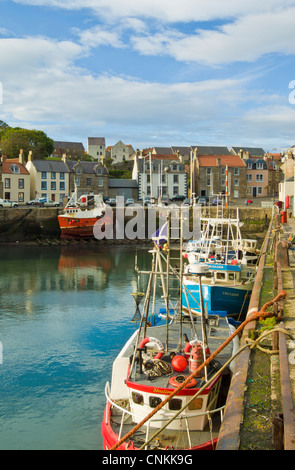 Bateaux de pêche dans les ports côtiers de Pittenweem écossais Scotland East Neuk de Fife UK GB EU Europe Banque D'Images