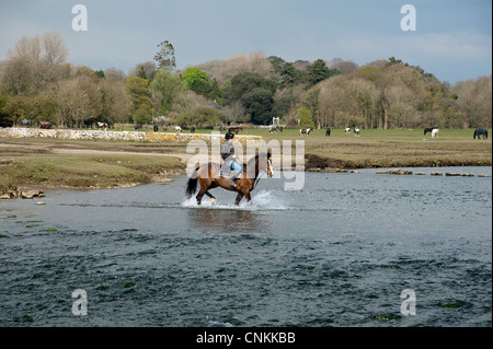 Pony rider traversant la rivière Ewenny Ogmore au dans la vallée de Glamorgan South Wales UK Banque D'Images