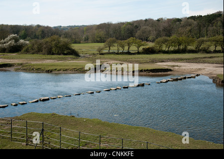 Pierres de gué sur la rivière Ewenny Ogmore au dans la vallée de Glamorgan au Pays de Galles du Sud Banque D'Images