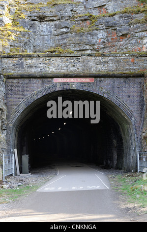 Entrée du tunnel de pierre tombale à derbyshire monsal head Banque D'Images