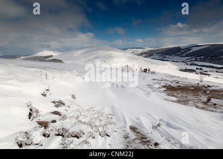 Ben Rinnes ; ; ; Ecosse Cairngorms UK ; dans la neige Banque D'Images