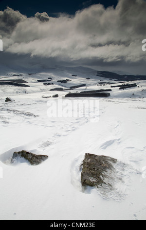 Ben Rinnes ; ; ; Ecosse Cairngorms UK ; dans la neige Banque D'Images