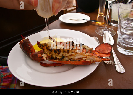 Homard grillé à Friday Brunch au Park Hyatt Hotel, Dubai Creek, Dubai, Émirats Arabes Unis Banque D'Images