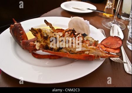 Homard grillé à Friday Brunch au Park Hyatt Hotel, Dubai Creek, Dubai, Émirats Arabes Unis Banque D'Images