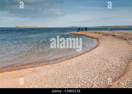 Chanonry Point ; Moray ; Black Isle ; Ecosse ; Royaume-Uni ; pour regarder les dauphins ; Banque D'Images