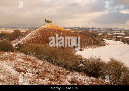 Colmer's Hill en hiver : cette modeste mais distinctive Hill est devenu un établissement emblématique de la région de West Bridport Dorset. Angleterre, Royaume-Uni. Banque D'Images