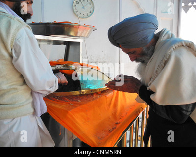 L'Inde Punjab Amritsar Temple Doré ou Hari Mandir à l'intérieur du temple un pèlerin reçoit le prasad doux et sucré ou de nourriture Banque D'Images