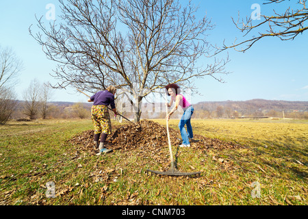 Hauts femme rurale et sa fille avec des râteaux, le nettoyage de printemps dans un verger de noyers Banque D'Images