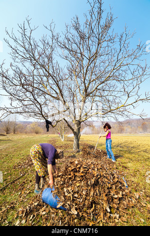 Hauts femme rurale et sa fille avec des râteaux, le nettoyage de printemps dans un verger de noyers Banque D'Images