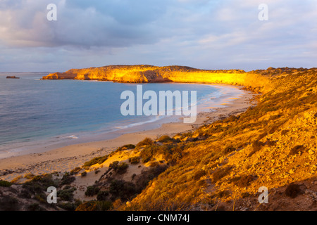 Coucher du soleil à Westall Bay près de veinages sur la côte ouest de la péninsule d'Eyre en Australie-Méridionale Banque D'Images