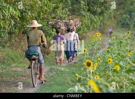 Scène rurale. Les birmanes transporter le bois sur la tête, près de Mandalay, Birmanie. Myanmar Banque D'Images