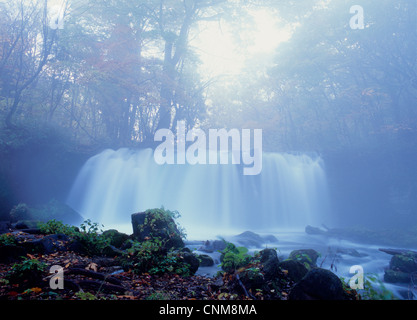 Cascade de Otaki Choshi Oirase Stream en automne, Towada, Aomori, Japon Banque D'Images