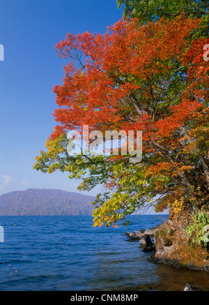 Lac Towada et les feuilles d'automne, Towada, Aomori, Japon Banque D'Images