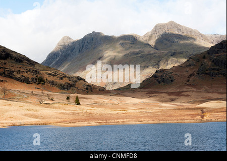 Blea Tarn avec vue vers la vallée de Langdale Pikes et Parc National de Lake District Cumbria England Royaume-Uni UK Banque D'Images