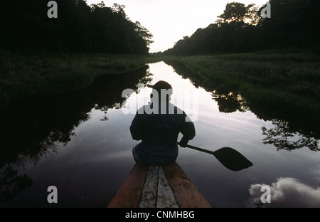 Man paddling le long d'un petit affluent de l'Amazone. Près de Tamishyaco. La province de Loreto, au Pérou. Banque D'Images