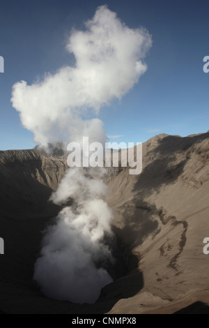 Cratère du Mont Bromo fumeurs (2 329 m) dans l'Est de Java, Indonésie. Banque D'Images